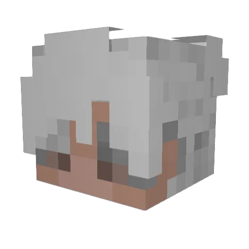 zVanex Minecraft avatar head, 3D render