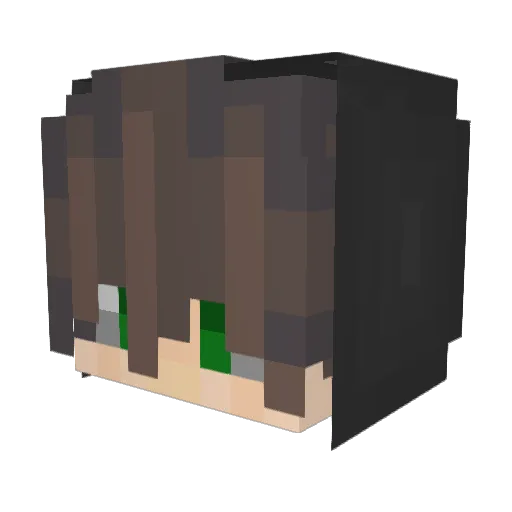 zVibee_ Minecraft avatar head, 3D render