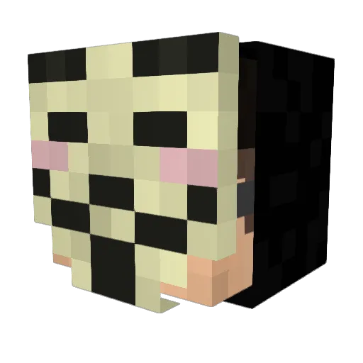zVinnyLom Minecraft avatar head, 3D render