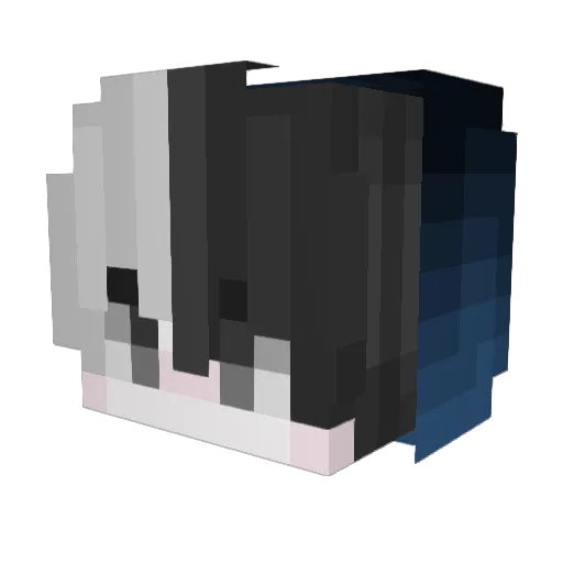 zWings Minecraft avatar head, 3D render