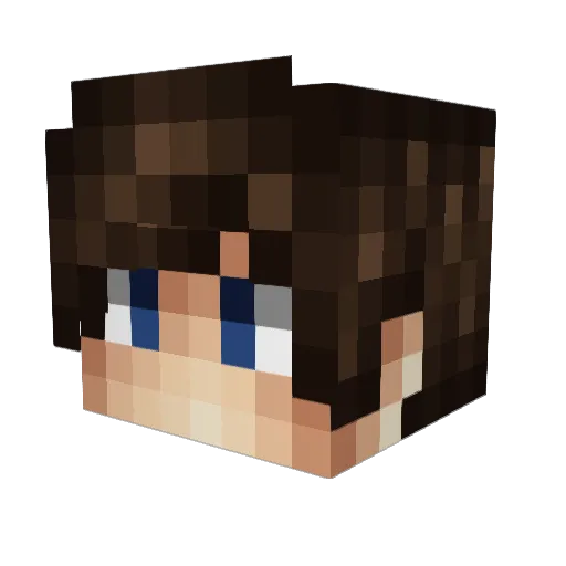 zWraith Minecraft avatar head, 3D render