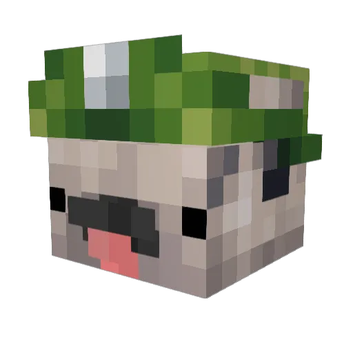 zXavier360 Minecraft avatar head, 3D render
