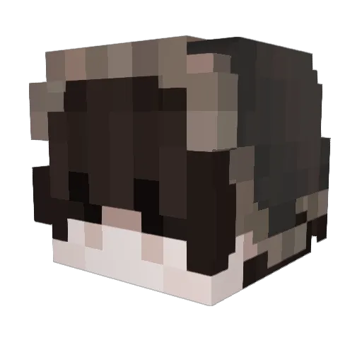 zYungTraps Minecraft avatar head, 3D render