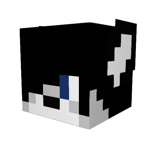 zZTubeDogZz Minecraft avatar head, 3D render