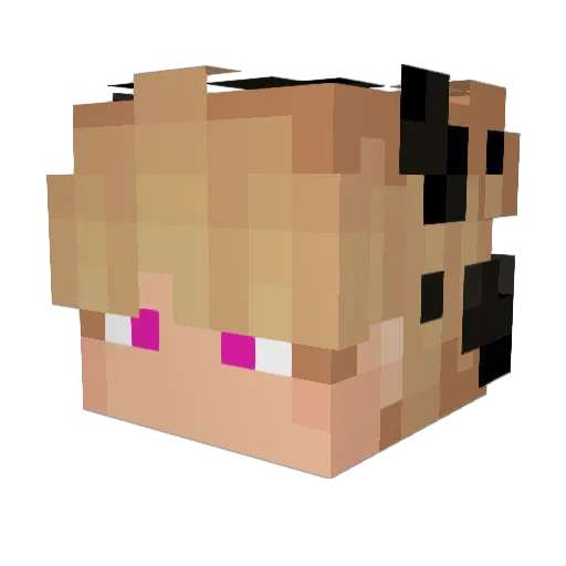zZer0_o Minecraft avatar head, 3D render