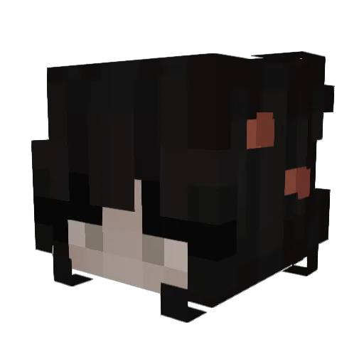 zZsnail Minecraft avatar head, 3D render