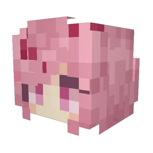 zZurkZz Minecraft avatar head, 3D render