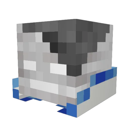 zZylerZz Minecraft avatar head, 3D render