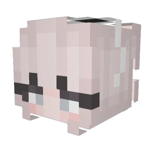 z_Cover Minecraft avatar head, 3D render