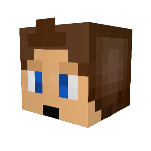 z_Nos Minecraft avatar head, 3D render