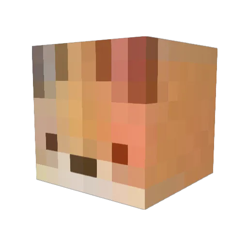 z_X_c Minecraft avatar head, 3D render