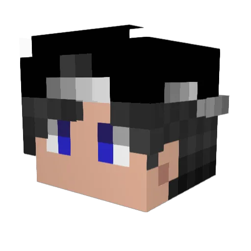 z__Lucky__z Minecraft avatar head, 3D render