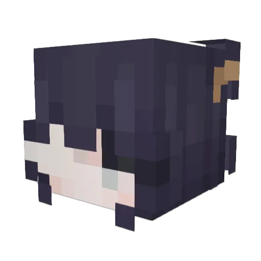 z_javis06 Minecraft avatar head, 3D render