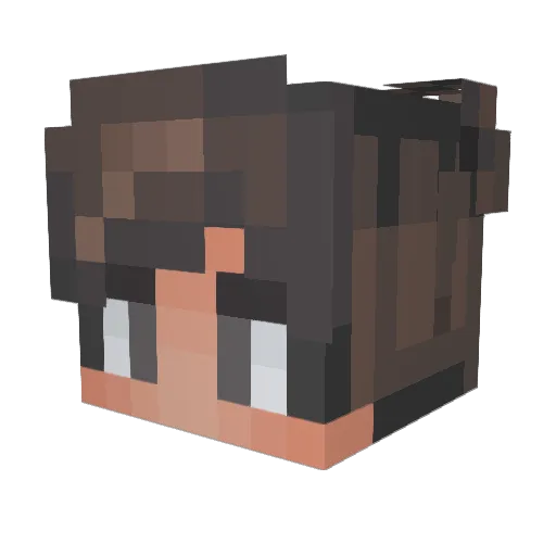 z_nith Minecraft avatar head, 3D render