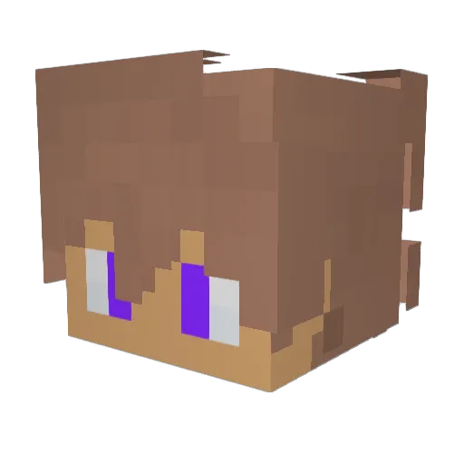 z_shadowwarriors Minecraft avatar head, 3D render