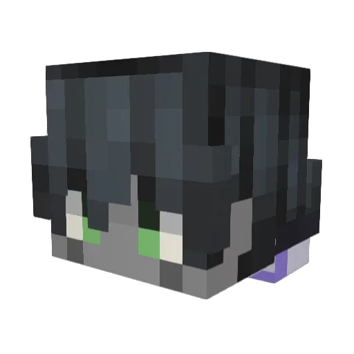 z_wp Minecraft avatar head, 3D render