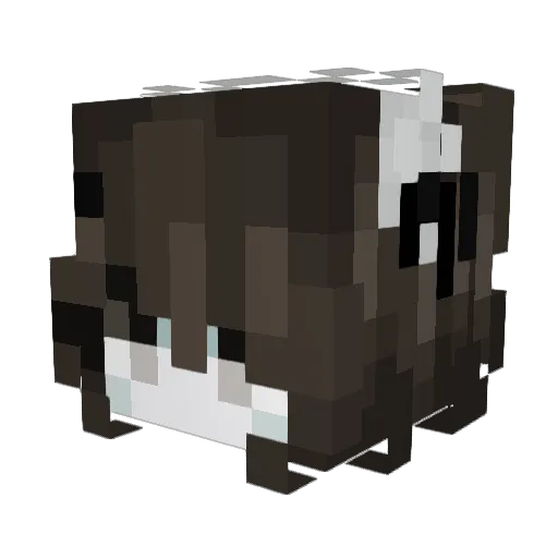 Minecraft-Avatar von z_yrx: Kopf als 3D-Render