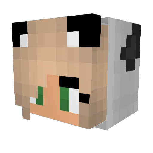 zaazoo10 Minecraft avatar head, 3D render