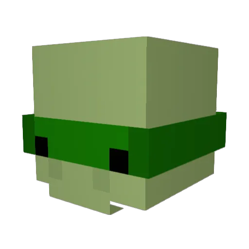 zaba_to_szef Minecraft avatar head, 3D render