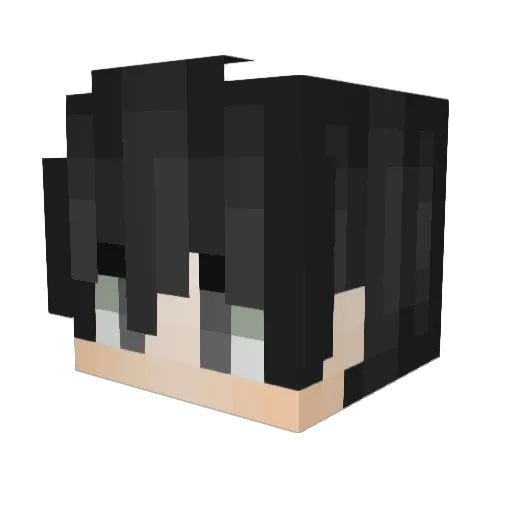 zabra25 Minecraft avatar head, 3D render