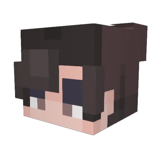 zabsonn Minecraft avatar head, 3D render