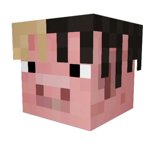 zachXdominatorZ Minecraft avatar head, 3D render