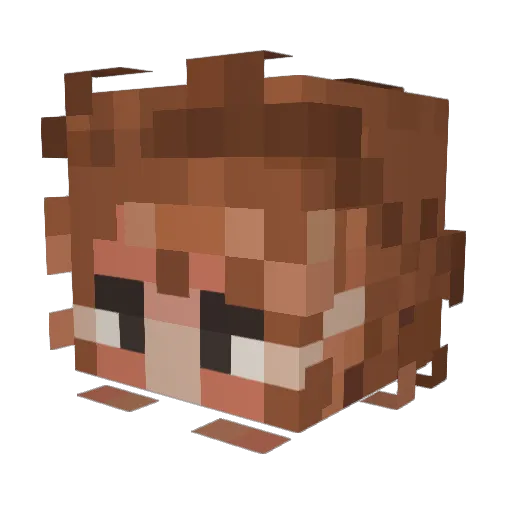 zach_66 Minecraft avatar head, 3D render