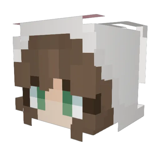 zachary16534 Minecraft avatar head, 3D render