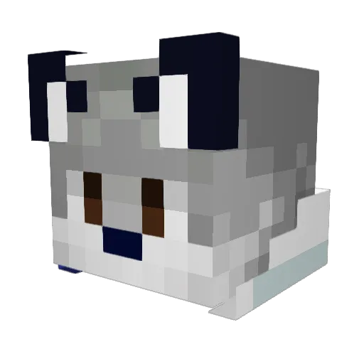 zachjgal Minecraft avatar head, 3D render