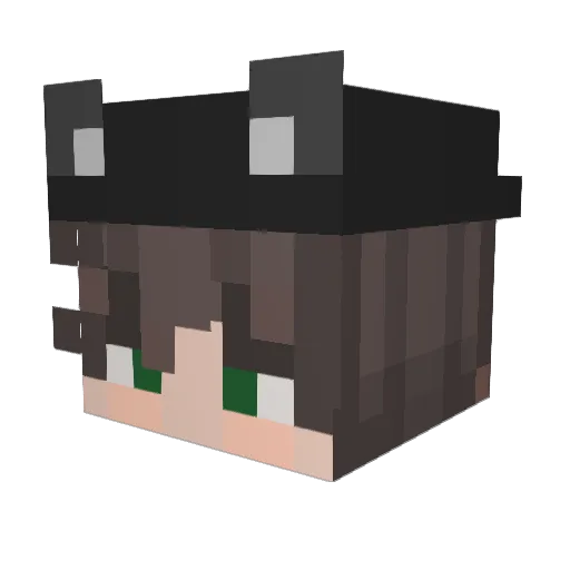 zachplayz666 Minecraft avatar head, 3D render