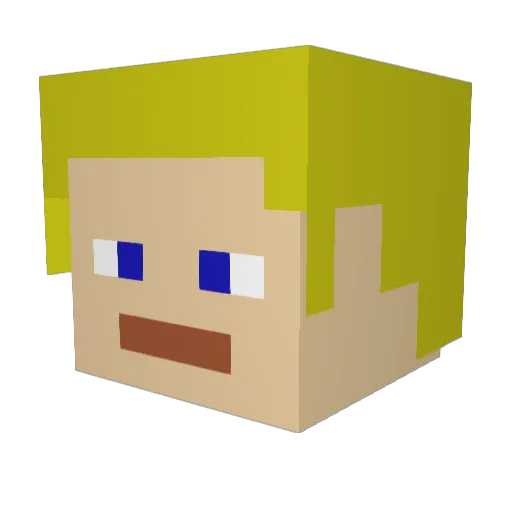 zachyboy9728 Minecraft avatar head, 3D render