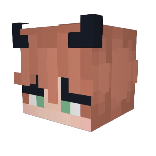 zack20127148 Minecraft avatar head, 3D render