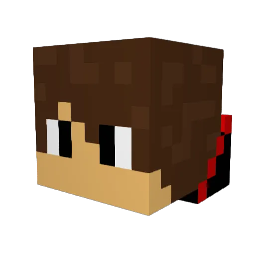 zacthecoolkid Minecraft avatar head, 3D render