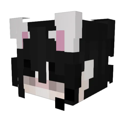 zaderka_ Minecraft avatar head, 3D render