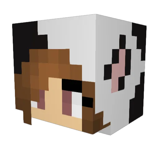 zady_143 Minecraft avatar head, 3D render