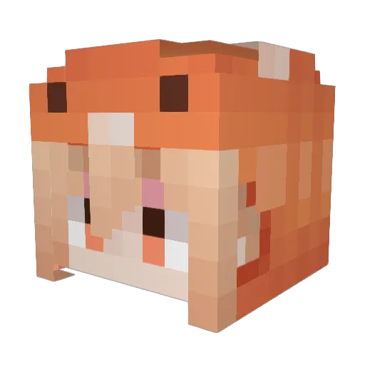 zaekteamo Minecraft avatar head, 3D render