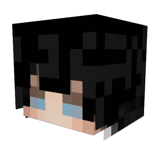zaerice Minecraft avatar head, 3D render