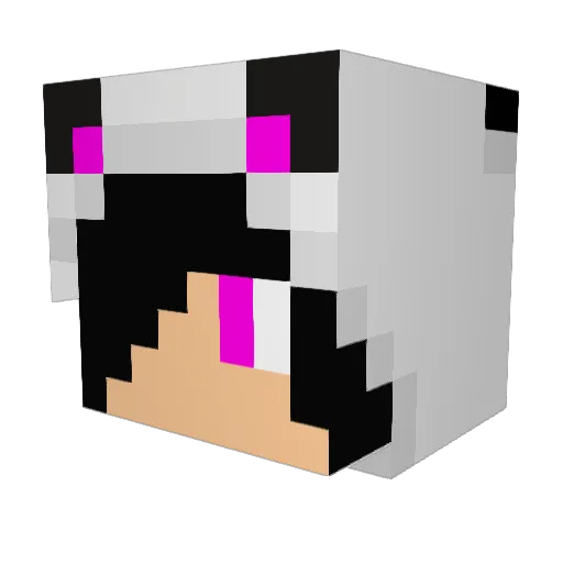 zage21 Minecraft avatar head, 3D render