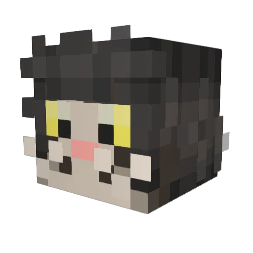 zagerus14 Minecraft avatar head, 3D render