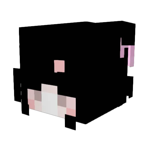 zahillen Minecraft avatar head, 3D render