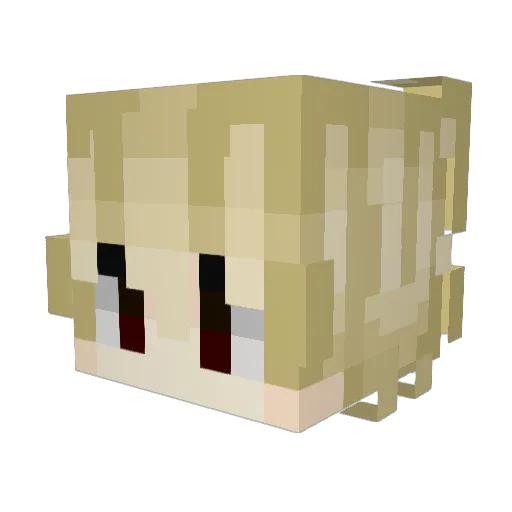 zahnbie Minecraft avatar head, 3D render