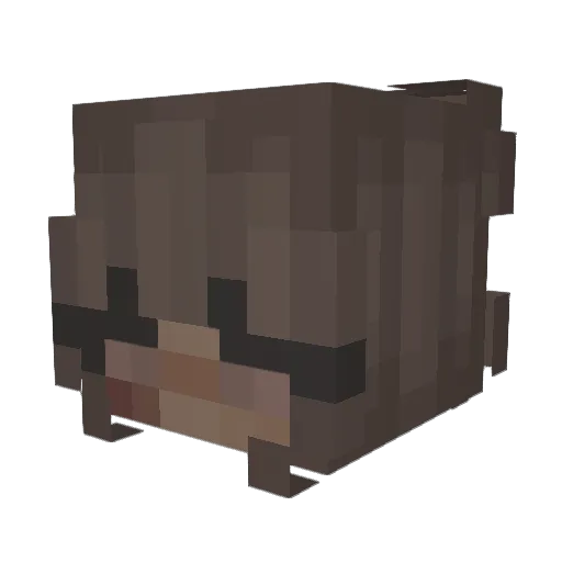 zahracuh Minecraft avatar head, 3D render