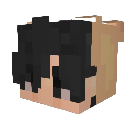 zaidmuhammad Minecraft avatar head, 3D render