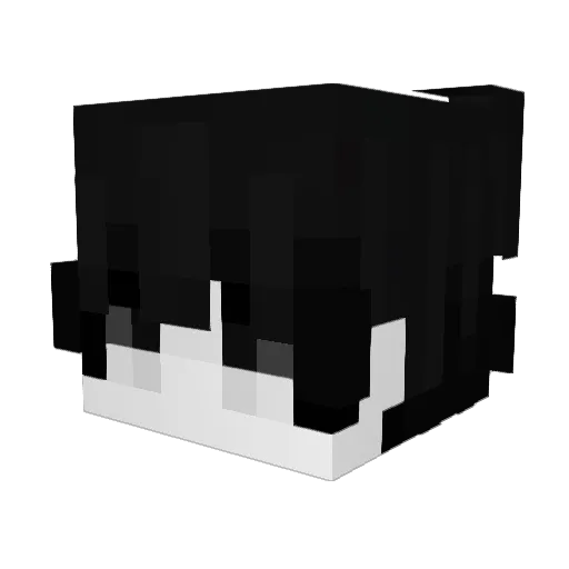 zaidyns Minecraft avatar head, 3D render