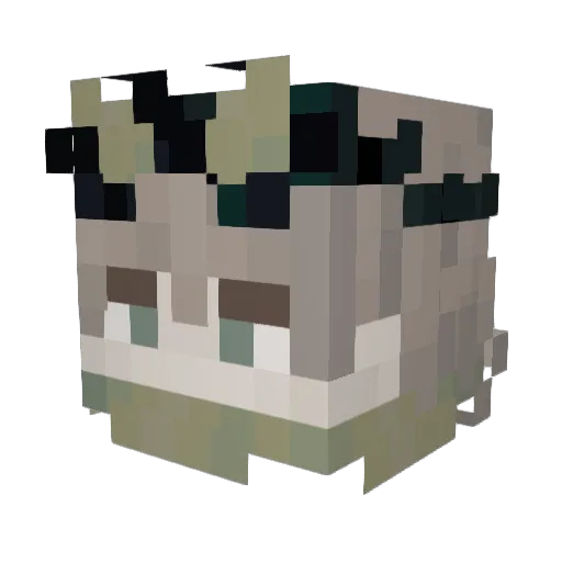 zaiminater Minecraft avatar head, 3D render
