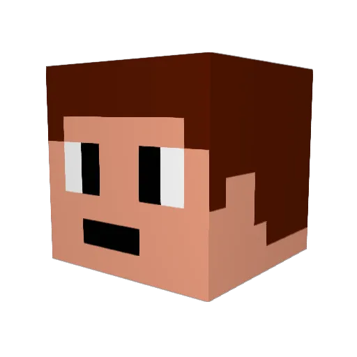 zak2744 Minecraft avatar head, 3D render
