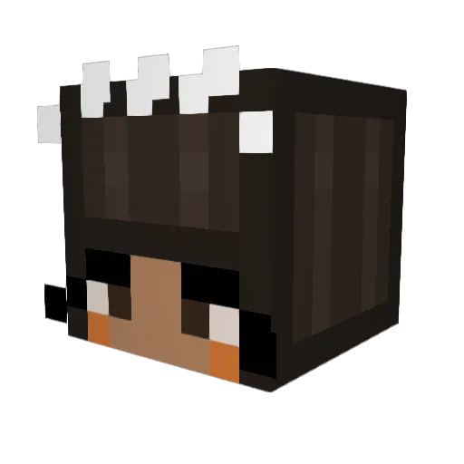 zakia81093 Minecraft avatar head, 3D render