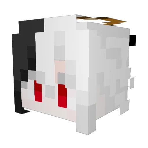 zakk_ilou Minecraft avatar head, 3D render