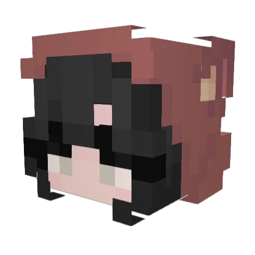 zakkoya Minecraft avatar head, 3D render