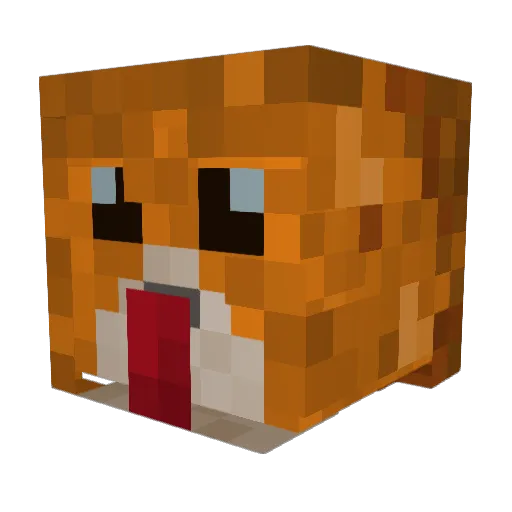 zakkygaming Minecraft avatar head, 3D render